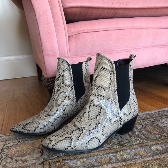 report snakeskin shoes